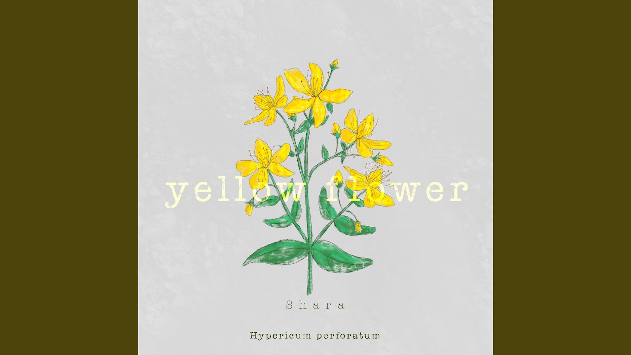 yellow flower – Shara - Process Studio