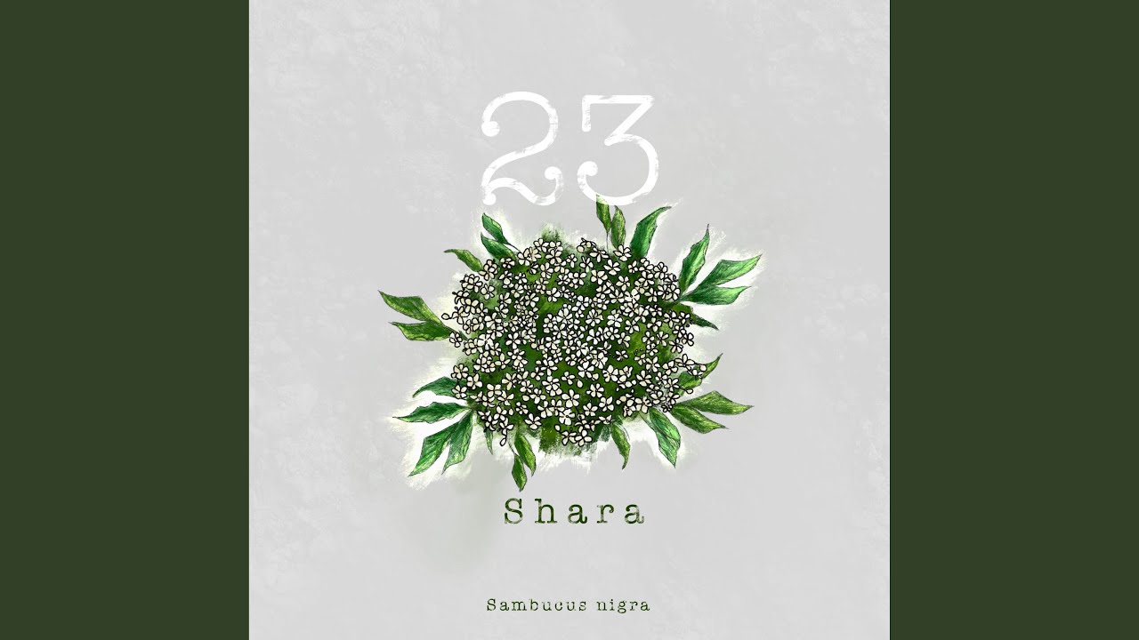 23 – Shara - Process Studio
